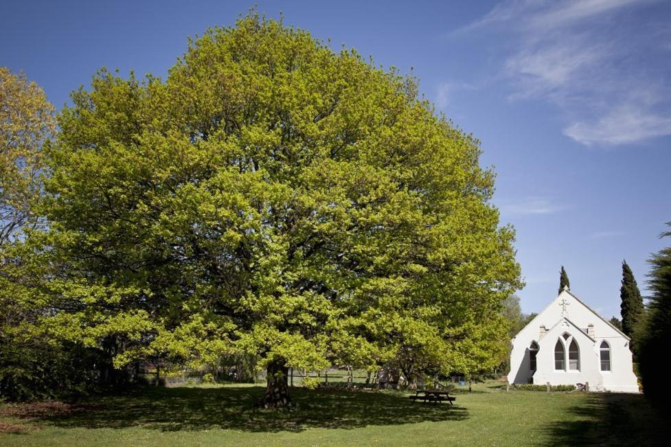 The Holy Oaks Villa Duntroon Екстериор снимка